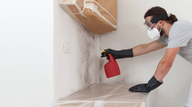 Professional Crawl Space Mold Remediation technician working in Worton, MD