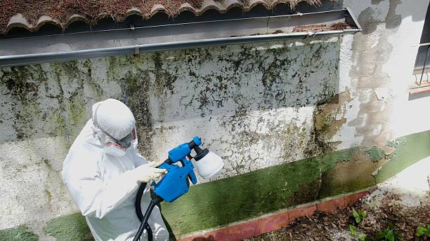 Top rated local Crawl Space Mold Remediation specialists in Worton, MD